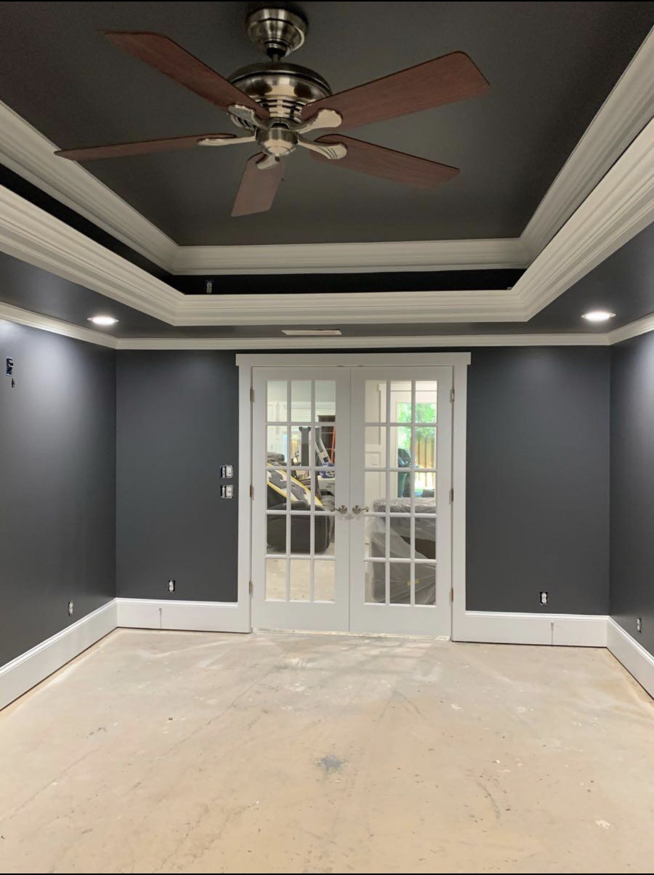 Dark gray room with tray ceiling and crisp white crown molding